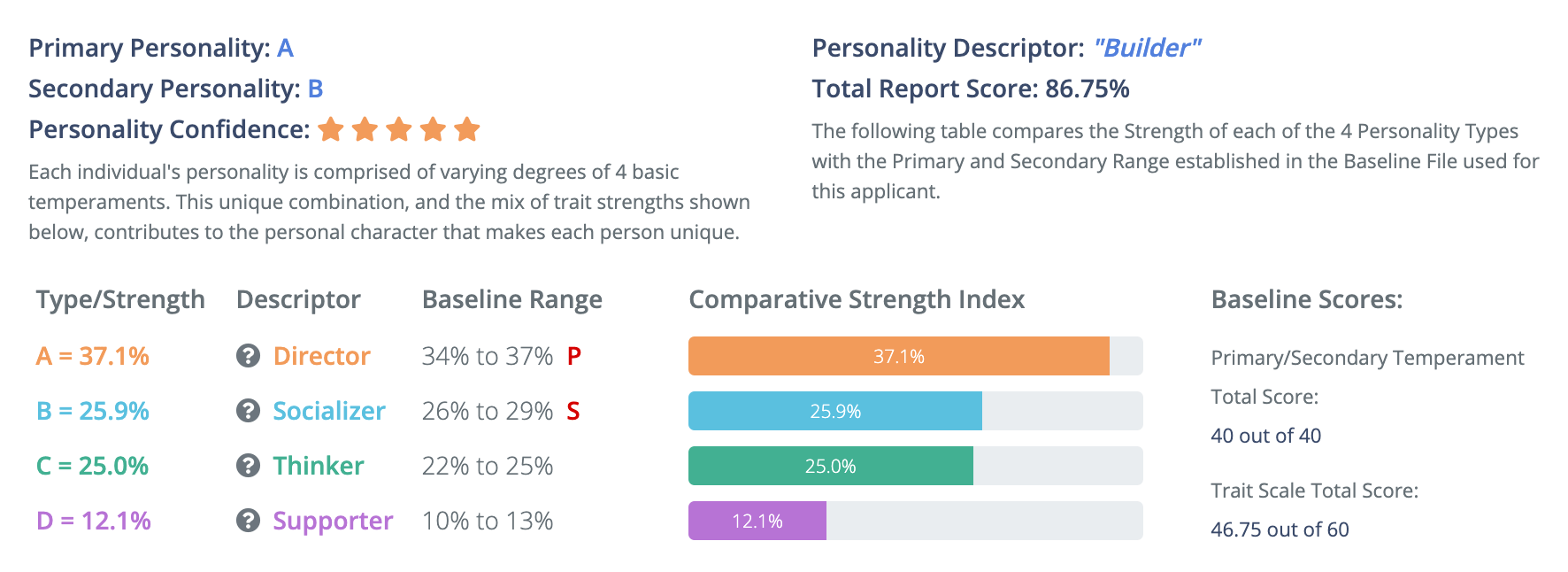 Sample Personality Profile Baseline Summary Report Top Section