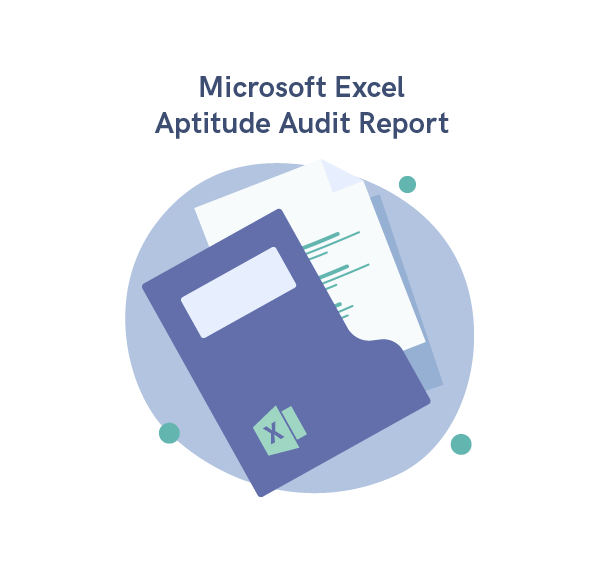 Excel aptitude audit report.